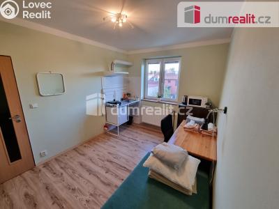 Pronájem bytu 1+KK Kralupy nad Vltavou, Čechova č. 1