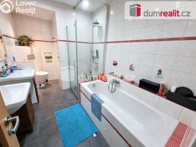 Pronájem bytu 1+KK Kralupy nad Vltavou, Čechova č. 6