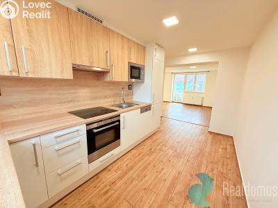 Pronájem bytu 2+1 České Budějovice, Pražská tř. č. 1