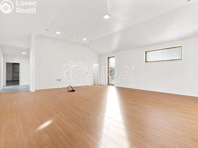 Prodej rodinného domu Radějovice, Svatojanská 60 č. 4