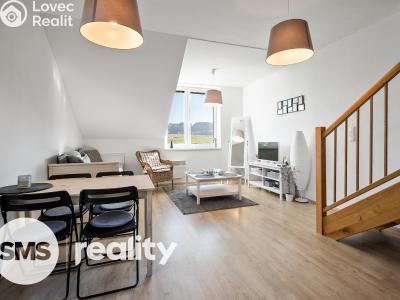 Sale apartment 3+KK Dolní Morava č. 4