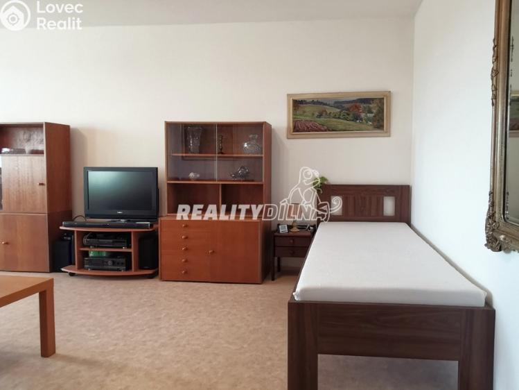 Rent apartment 1+1 Odolena Voda, Nad Štolami 462 č. 1