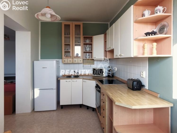 Rent apartment 1+1 Odolena Voda, Nad Štolami 462 č. 8