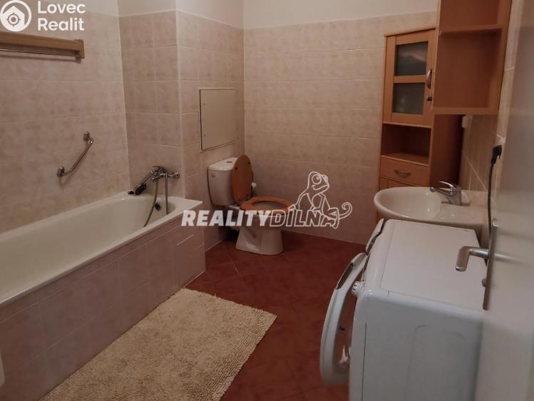 Rent apartment 1+1 Odolena Voda, Nad Štolami 462 č. 11