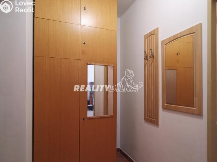 Rent apartment 1+1 Odolena Voda, Nad Štolami 462 č. 13