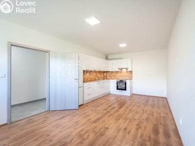 Продаж квартири 1+KK Letovice, Pražská č. 1