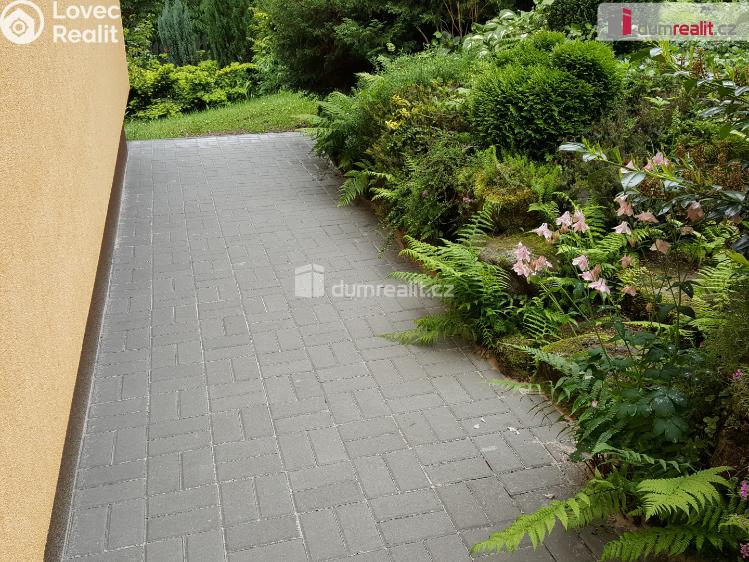 Rent hut Nejdek č. 11