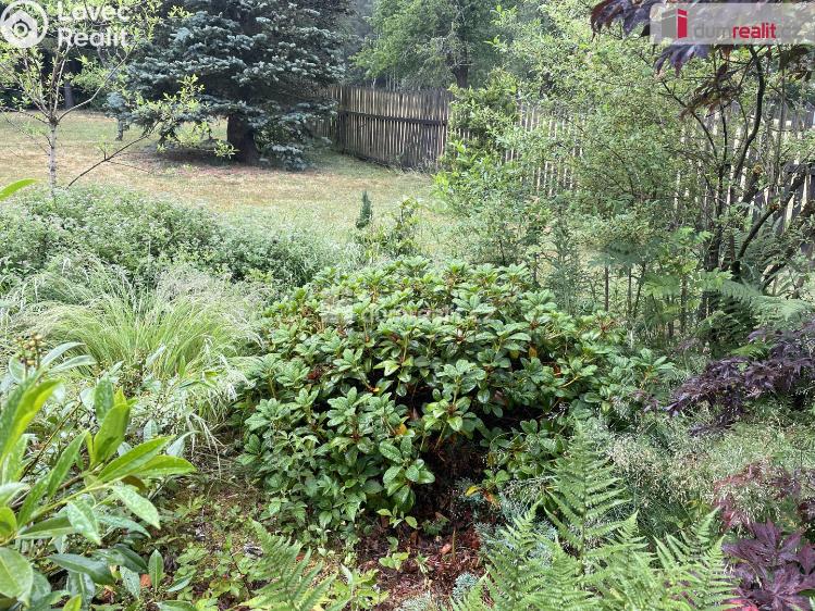 Rent hut Nejdek č. 42