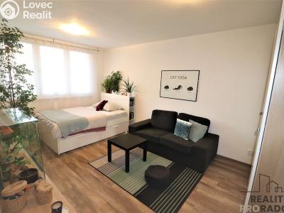 Rent apartment 1+1 Ostrava, Petra Křičky č. 1