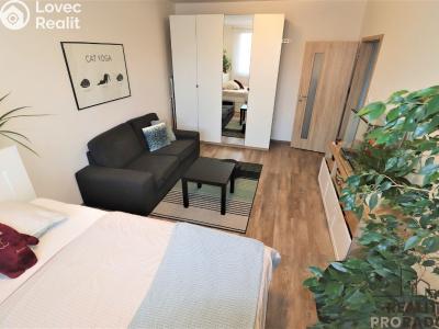 Rent apartment 1+1 Ostrava, Petra Křičky č. 2