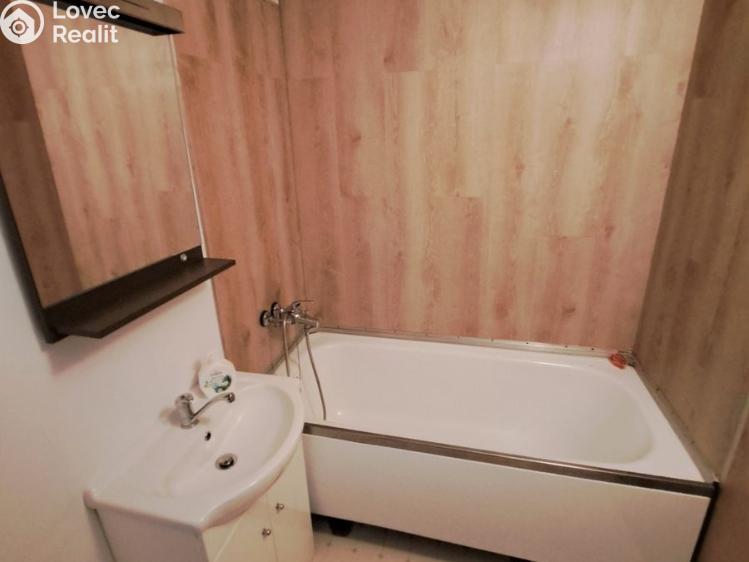 Pronájem bytu 3+1 České Budějovice, Dlouhá č. 9