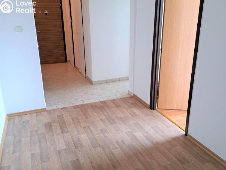 Pronájem bytu 3+1 České Budějovice, Dlouhá č. 11