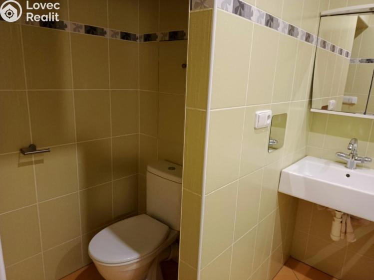 Prodej bytu 3+1 Týn nad Vltavou, Hlinecká č. 7