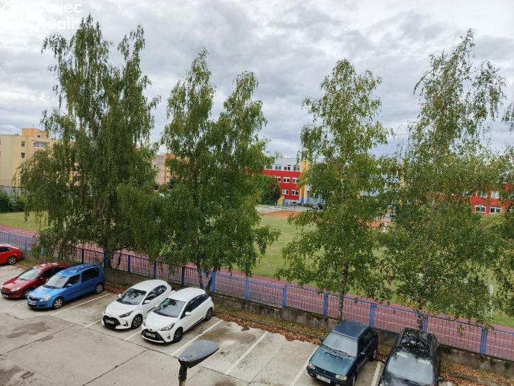 Prodej bytu 3+1 Týn nad Vltavou, Hlinecká č. 13