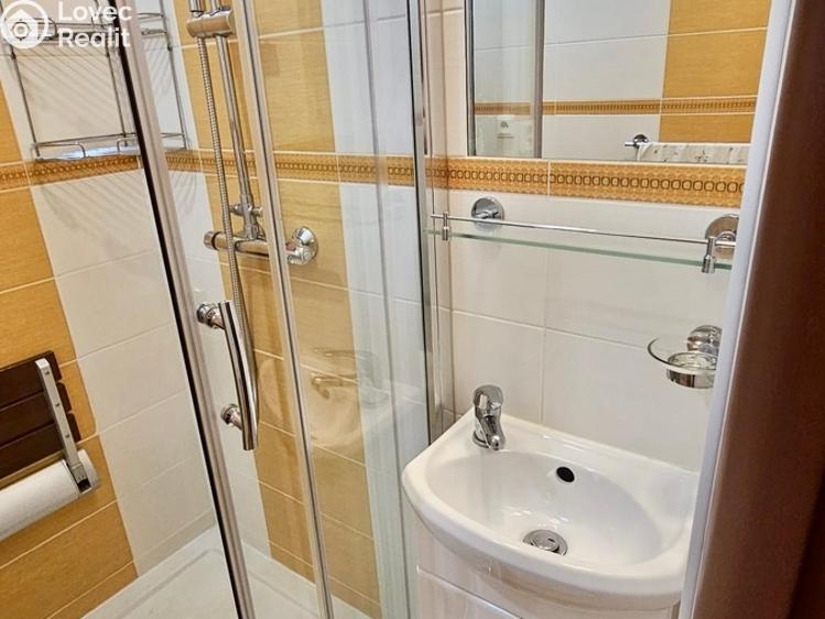 Pronájem bytu 2+1 Ostrava, Alberta Kučery č. 7