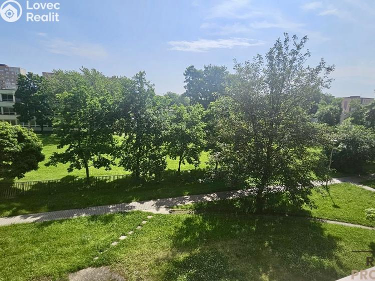 Pronájem bytu 2+1 Ostrava, Alberta Kučery č. 10