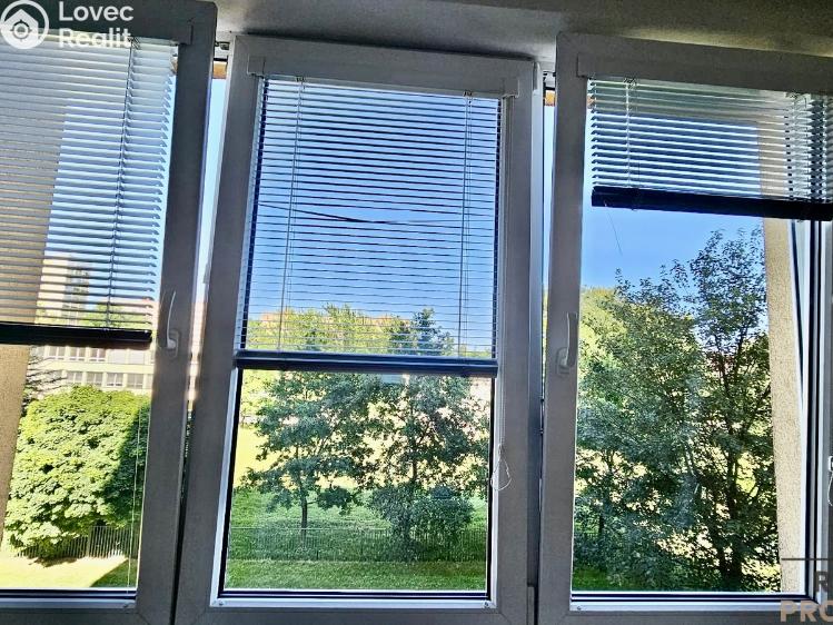 Pronájem bytu 2+1 Ostrava, Alberta Kučery č. 13