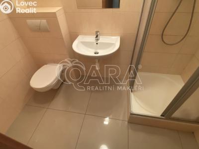 Pronájem bytu 3+KK Brno, Řeznická č. 3