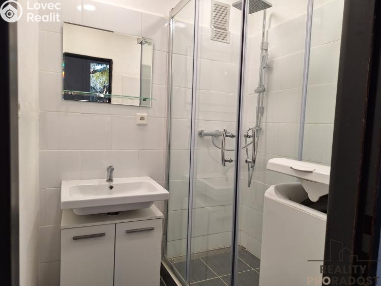 Pronájem bytu 3+1 Děčín, Slovanská č. 8