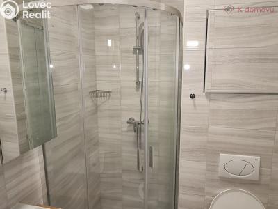 Pronájem bytu 1+KK Přerov, Trávník č. 3