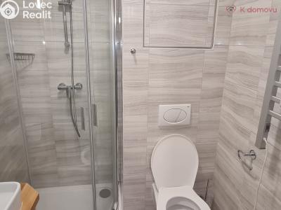 Pronájem bytu 1+KK Přerov, Trávník č. 4