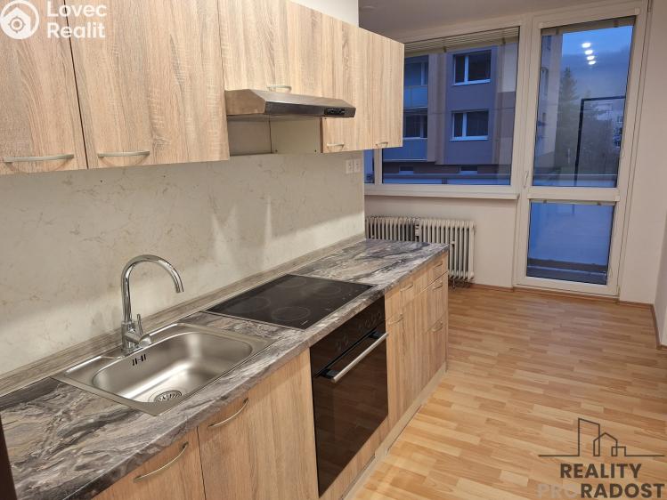 Pronájem bytu 2+1 Děčín č. 3