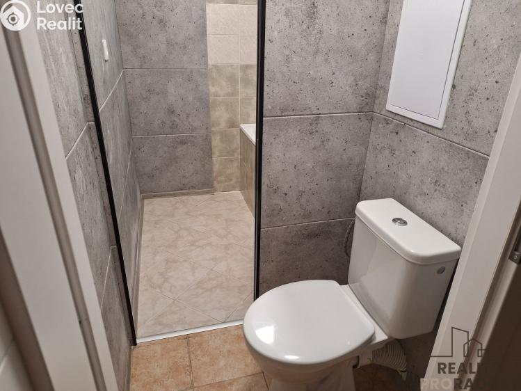 Pronájem bytu 2+1 Děčín č. 7