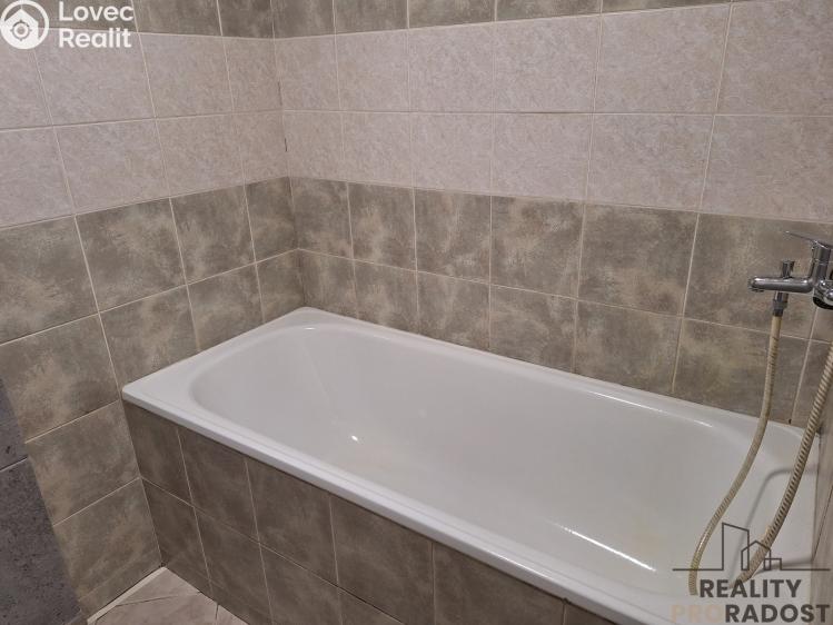 Pronájem bytu 2+1 Děčín č. 8