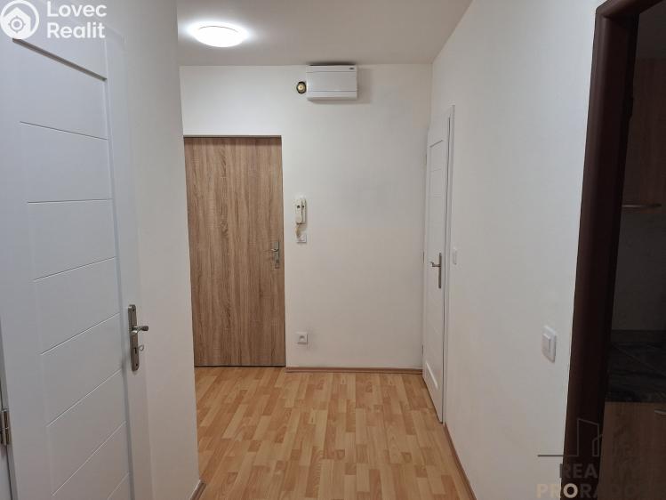 Pronájem bytu 2+1 Děčín č. 9