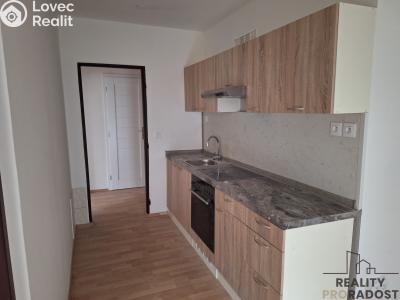 Pronájem bytu 2+1 Děčín č. 2