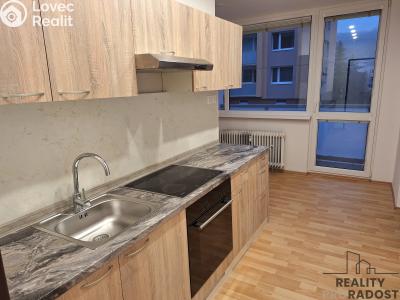 Pronájem bytu 2+1 Děčín č. 3