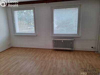 Pronájem bytu 2+1 Děčín č. 5