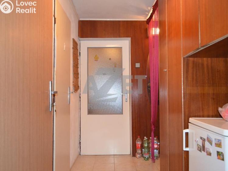 Sale hut Velké Losiny č. 11