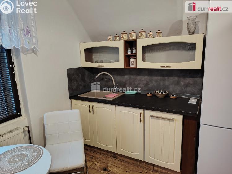 Pronájem bytu 2+1 Děčín, Purkyňova č. 7