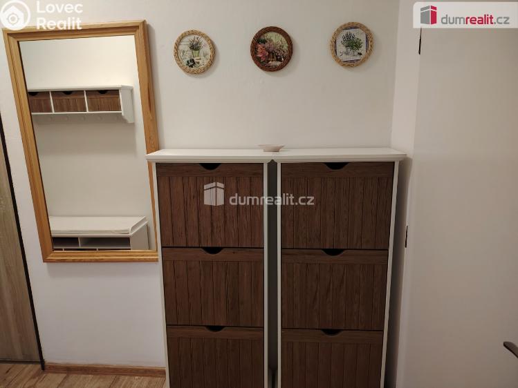 Pronájem bytu 2+1 Děčín, Purkyňova č. 15