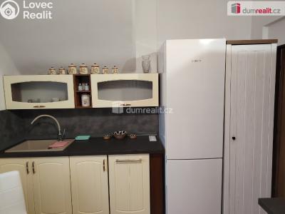 Pronájem bytu 2+1 Děčín, Purkyňova č. 3