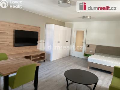 Pronájem bytu 1+KK Opava, Dolní náměstí č. 1