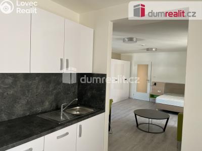 Pronájem bytu 1+KK Opava, Dolní náměstí č. 2