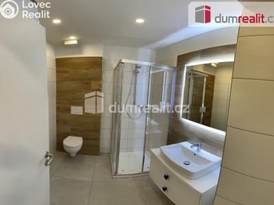 Pronájem bytu 1+KK Opava, Dolní náměstí č. 3