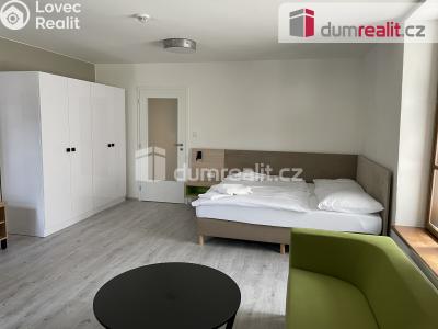 Pronájem bytu 1+KK Opava, Dolní náměstí č. 6
