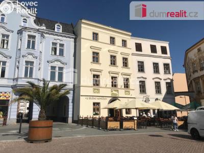 Аренда квартиры 1+KK Opava, Dolní náměstí č. 12
