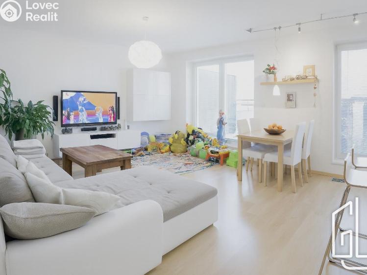 Pronájem bytu 3+KK Brno č. 12