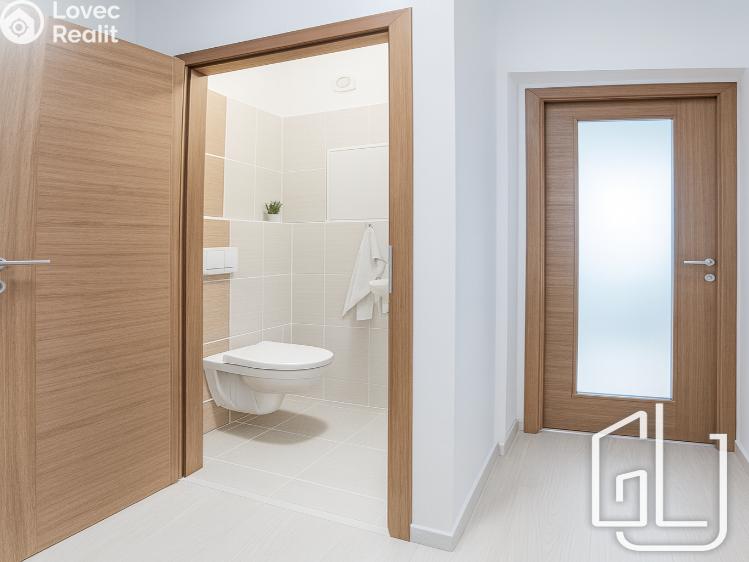 Pronájem bytu 3+KK Brno č. 6