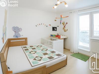 Pronájem bytu 3+KK Brno č. 5