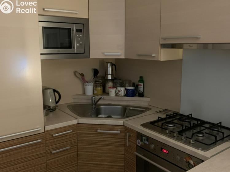 Аренда семейного дома Hodonín, Levandulová č. 1