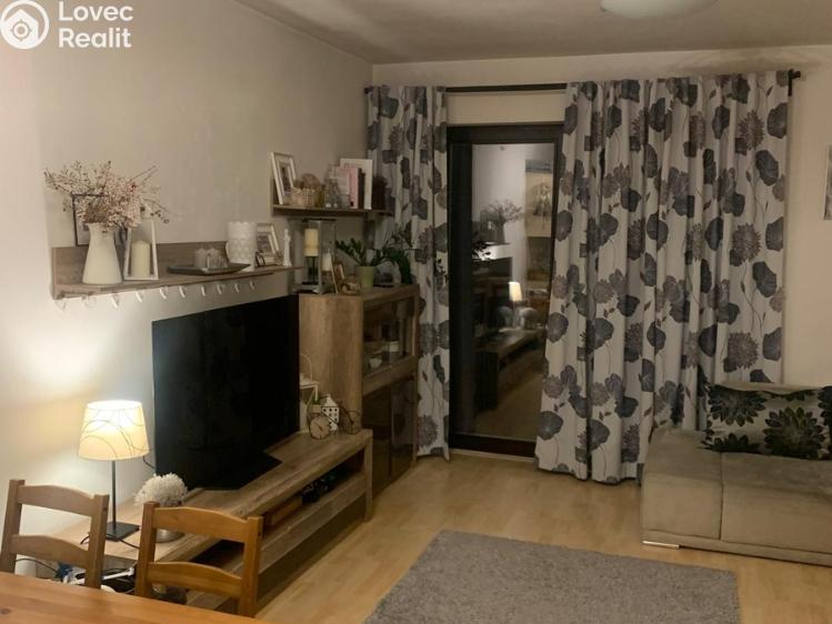 Аренда семейного дома Hodonín, Levandulová č. 4