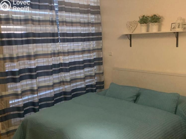 Аренда семейного дома Hodonín, Levandulová č. 5