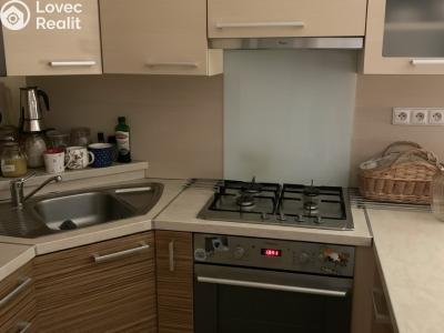 Rent family house Hodonín, Levandulová č. 2