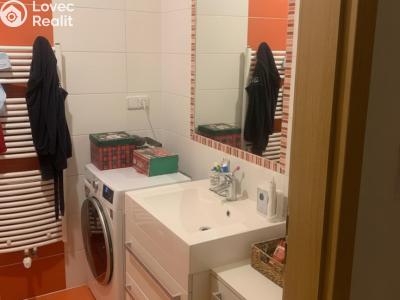 Rent family house Hodonín, Levandulová č. 3