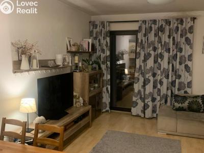 Rent family house Hodonín, Levandulová č. 4